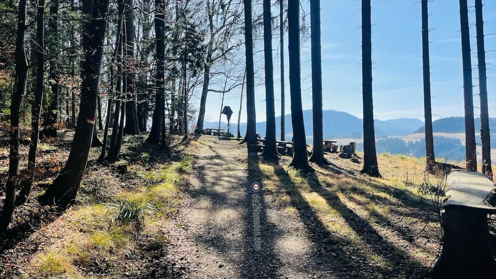 Blick auf den Rastplatz des Hohlwurzelweges