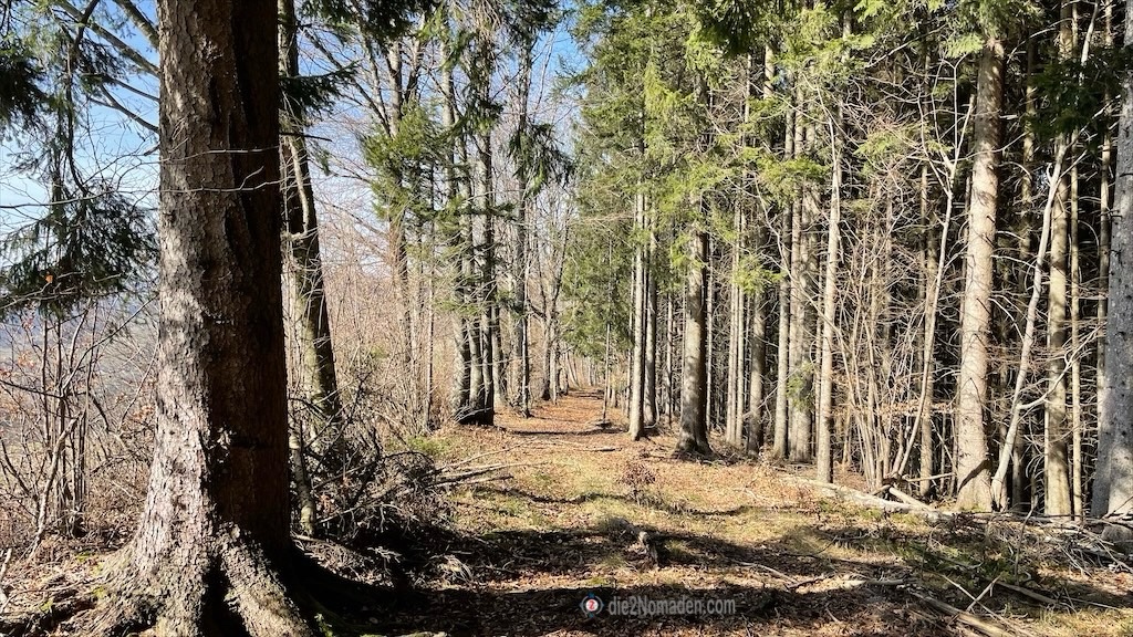 Ausläufer des Hohlwurzelweges