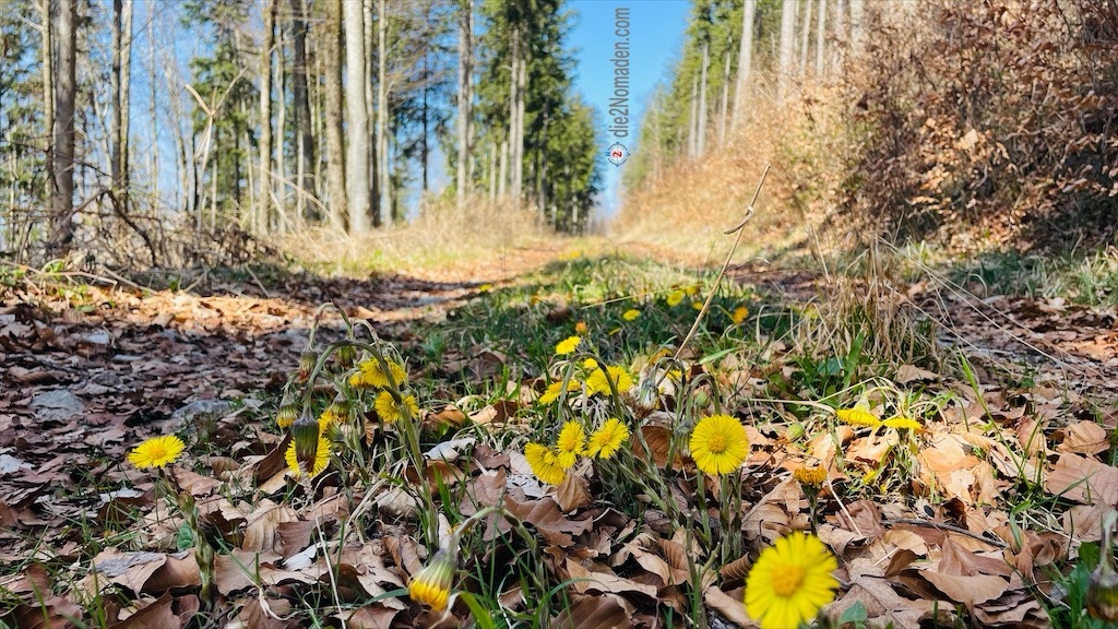 an der Forststraße zum Einstieg
