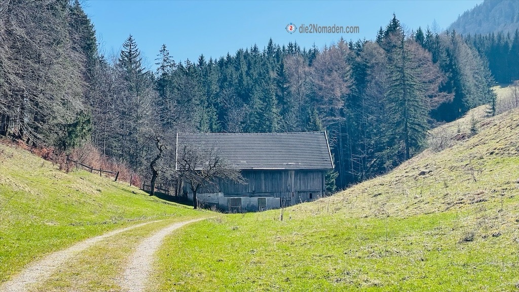 wunderschöne Alm nahe der Narzissenwiese