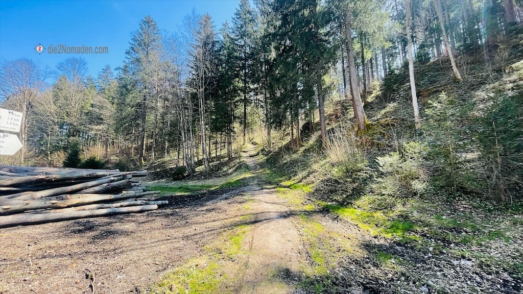 wieder angekommen an der Straße Richtung Schindelbach